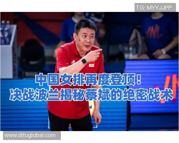 深圳排球队进攻体系解析与战术创新探讨